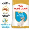 Royal Canin French Bulldog Puppy - Hundefutter -Heimtierbedarf Geschäft royal canin french bulldog puppy hondenvoer 140549 0500 none
