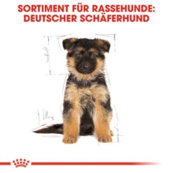 Royal Canin German Shepherd Puppy - Hundefutter -Heimtierbedarf Geschäft royal canin german shepherd puppy hondenvoer 138838 0500 none