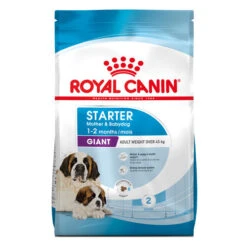 Royal Canin Giant Starter Mother & Babydog - Hundefutter -Heimtierbedarf Geschäft royal canin giant starter mother babydog hondenvoer 206726 0500 none