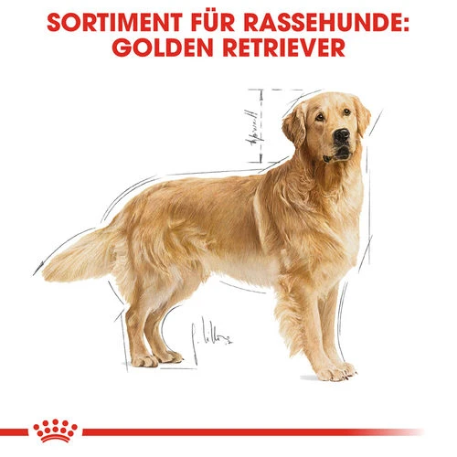 Royal Canin Golden Retriever Adult - Hundefutter 6 Royal Canin Golden Retriever Adult - Hundefutter – Bild 4