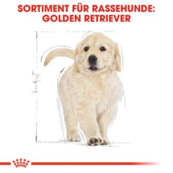 Royal Canin Golden Retriever Puppy - Hundefutter 13 Royal Canin Golden Retriever Puppy - Hundefutter -Heimtierbedarf Geschäft royal canin golden retriever puppy hondenvoer 138958 0500 none