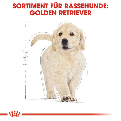 Royal Canin Golden Retriever Puppy - Hundefutter 6 Royal Canin Golden Retriever Puppy - Hundefutter – Bild 4