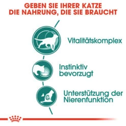 Royal Canin Instinctive 7+ In Gravy - Katzenfutter 14 Royal Canin Instinctive 7+ In Gravy - Katzenfutter -Heimtierbedarf Geschäft royal canin instinctive 7 in gravy kattenvoer 127868 0500 none