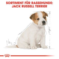 Royal Canin Jack Russell Terrier Puppy - Hundefutter -Heimtierbedarf Geschäft royal canin jack russell terrier puppy hondenvoer 139318 0500 none