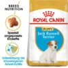 Royal Canin Jack Russell Terrier Puppy - Hundefutter -Heimtierbedarf Geschäft royal canin jack russell terrier puppy hondenvoer 140597 0500 none