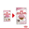 Royal Canin Kitten In Gravy - Katzenfutter -Heimtierbedarf Geschäft royal canin kitten in gravy kattenvoer 207080 0500 none