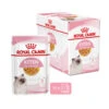 Royal Canin Kitten In Jelly - Katzenfutter -Heimtierbedarf Geschäft royal canin kitten in jelly kattenvoer 207143 0500 none