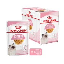 Royal Canin Kitten In Jelly - Katzenfutter