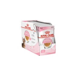 Royal Canin Kitten Sterilised Gelee - Beutel -Heimtierbedarf Geschäft royal canin kitten sterilised in jelly kattenvoer 201959 0500 none