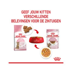 Royal Canin Kitten Sterilised Gelee - Beutel -Heimtierbedarf Geschäft royal canin kitten sterilised in jelly maaltijdzakje 207212 0500 none