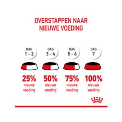 Royal Canin Kitten Sterilised Gelee - Beutel -Heimtierbedarf Geschäft royal canin kitten sterilised in jelly maaltijdzakje 207224 0500 none