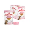 Royal Canin Kitten Sterilised Gelee - Beutel -Heimtierbedarf Geschäft royal canin kitten sterilised in jelly maaltijdzakje 207230 0500 none