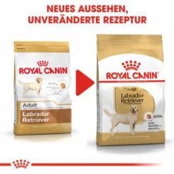 Royal Canin Labrador Retriever Adult - Hundefutter -Heimtierbedarf Geschäft royal canin labrador retriever adult hondenvoer 139378 0500 none