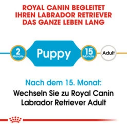 Royal Canin Labrador Retriever Puppy - Hundefutter 14 Royal Canin Labrador Retriever Puppy - Hundefutter -Heimtierbedarf Geschäft royal canin labrador retriever puppy hondenvoer 139411 0500 none