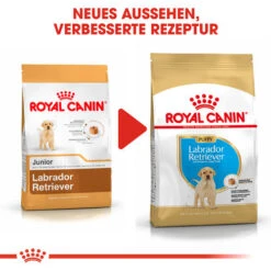 Royal Canin Labrador Retriever Puppy - Hundefutter 15 Royal Canin Labrador Retriever Puppy - Hundefutter -Heimtierbedarf Geschäft royal canin labrador retriever puppy hondenvoer 139456 0500 none