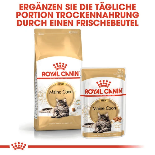 Royal Canin Maine Coon Adult - Katzenfutter 7 Royal Canin Maine Coon Adult - Katzenfutter – Bild 5