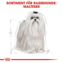 Royal Canin Maltese Adult - Hundefutter 12 Royal Canin Maltese Adult - Hundefutter -Heimtierbedarf Geschäft royal canin maltese adult hondenvoer 139570 0500 none