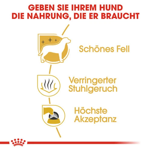 Royal Canin Maltese Adult - Hundefutter 4 Royal Canin Maltese Adult - Hundefutter – Bild 2