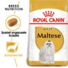 Royal Canin Maltese Adult - Hundefutter -Heimtierbedarf Geschäft royal canin maltese adult hondenvoer 139624 0500 none