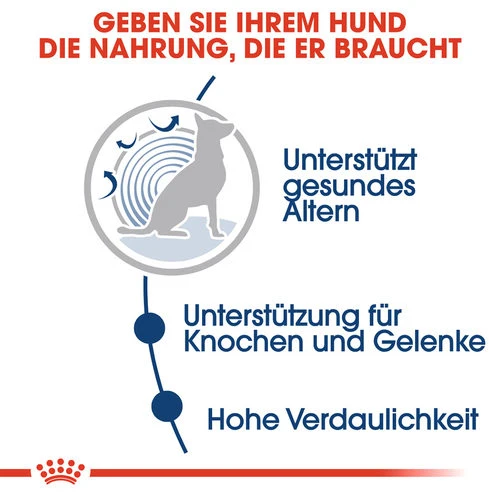 Royal Canin Maxi Ageing 8+ Wet - Hundefutter 7 Royal Canin Maxi Ageing 8+ Wet - Hundefutter – Bild 5