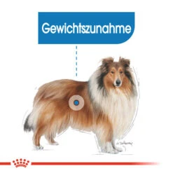 Royal Canin Maxi Light Weight Care - Hundefutter -Heimtierbedarf Geschäft royal canin maxi light weight care hondenvoer 132599 0500 none