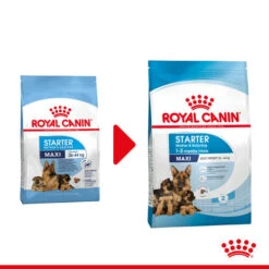 Royal Canin Maxi Starter Mother & Babydog - Hundefutter