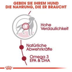 Royal Canin Medium Adult Wet - Hundefutter -Heimtierbedarf Geschäft royal canin medium adult wet hondenvoer 143492 0500 none