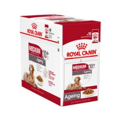 Royal Canin Medium Ageing 10+ Wet - Hundefutter -Heimtierbedarf Geschäft royal canin medium ageing 10 wet 121933 0500 none
