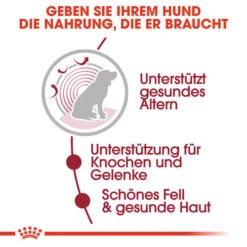 Royal Canin Medium Ageing 10+ Wet - Hundefutter -Heimtierbedarf Geschäft royal canin medium ageing 10 wet hondenvoer 129197 0500 none