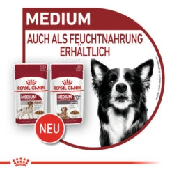 Royal Canin Medium Ageing 10+ Wet - Hundefutter -Heimtierbedarf Geschäft royal canin medium ageing 10 wet hondenvoer 129239 0500 none
