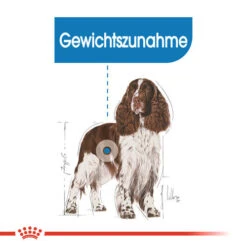 Royal Canin Medium Light Weight Care - Hundefutter -Heimtierbedarf Geschäft royal canin medium light weight care hondenvoer 132851 0500 none