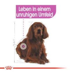 Royal Canin Medium Relax Care - Hundefutter -Heimtierbedarf Geschäft royal canin medium relax care hondenvoer 131183 0500 none