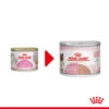 Royal Canin Mother & Babycat Ultra Soft Mousse - Katzenfutter -Heimtierbedarf Geschäft royal canin mother babycat mousse kattenvoer 207047 0500 none
