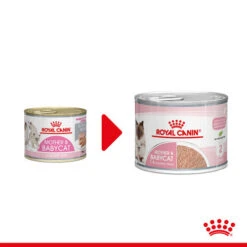 Royal Canin Mother & Babycat Ultra Soft Mousse - Katzenfutter