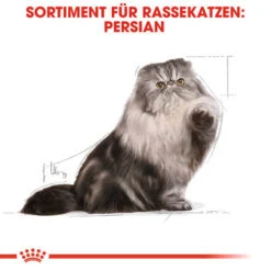 Royal Canin Persian Adult Wet - Katzenfutter 12 Royal Canin Persian Adult Wet - Katzenfutter -Heimtierbedarf Geschäft royal canin persian adult wet kattenvoer 126065 0500 none