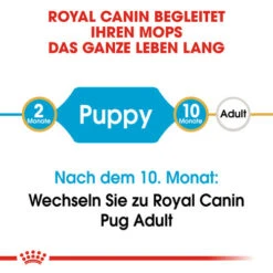 Royal Canin Pug Puppy - Hundefutter -Heimtierbedarf Geschäft royal canin pug puppy hondenvoer 139858 0500 none