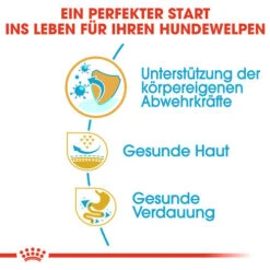 Royal Canin Pug Puppy - Hundefutter -Heimtierbedarf Geschäft royal canin pug puppy hondenvoer 139876 0500 none