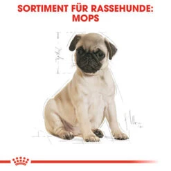 Royal Canin Pug Puppy - Hundefutter -Heimtierbedarf Geschäft royal canin pug puppy hondenvoer 139885 0500 none