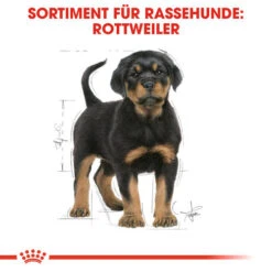 Royal Canin Rottweiler Puppy - Hundefutter -Heimtierbedarf Geschäft royal canin rottweiler puppy hondenvoer 140029 0500 none