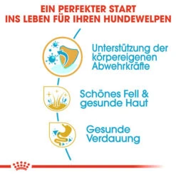 Royal Canin Shih Tzu Puppy - Hundefutter -Heimtierbedarf Geschäft royal canin shih tzu junior hondenvoer 140402 0500 none