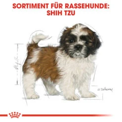 Royal Canin Shih Tzu Puppy - Hundefutter -Heimtierbedarf Geschäft royal canin shih tzu junior hondenvoer 140411 0500 none