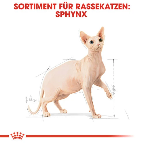 Royal Canin Sphynx Adult - Katzenfutter 8 Royal Canin Sphynx Adult - Katzenfutter – Bild 6