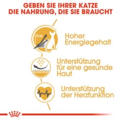 Royal Canin Sphynx Adult - Katzenfutter 14 Royal Canin Sphynx Adult - Katzenfutter -Heimtierbedarf Geschäft royal canin sphynx adult kattenvoer 125456 0500 none