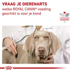 Royal Canin Urinary S/O Hund 19 Royal Canin Urinary S/O Hund -Heimtierbedarf Geschäft royal canin urinary so hond 153688 0500 none