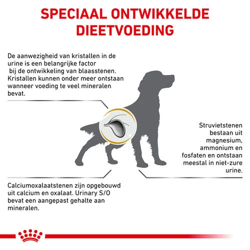 Royal Canin Urinary S/O Hund 9 Royal Canin Urinary S/O Hund – Bild 7