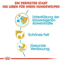 Royal Canin Yorkshire Terrier Puppy - Hundefutter -Heimtierbedarf Geschäft royal canin yorkshire terrier puppy hondenvoer 140795 0500 none