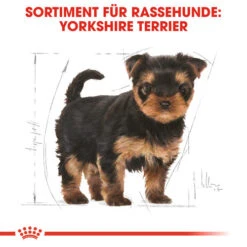 Royal Canin Yorkshire Terrier Puppy - Hundefutter -Heimtierbedarf Geschäft royal canin yorkshire terrier puppy hondenvoer 140804 0500 none