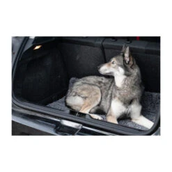 Royal Dry Doormat 12 Royal Dry Doormat -Heimtierbedarf Geschäft royal dry doormat 187417 0500 none