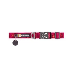 Ruffwear Flat Out Dog Collar - Alpenglow Burst -Heimtierbedarf Geschäft ruffwear flat out dog collar alpenglow burst 204824 0500 none