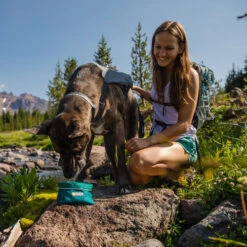 Ruffwear Flat Out Dog Collar - Blue Horizon -Heimtierbedarf Geschäft ruffwear flat out dog collar blue horizon 204839 0500 none